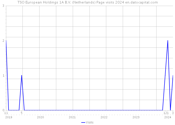 TSO European Holdings 1A B.V. (Netherlands) Page visits 2024 