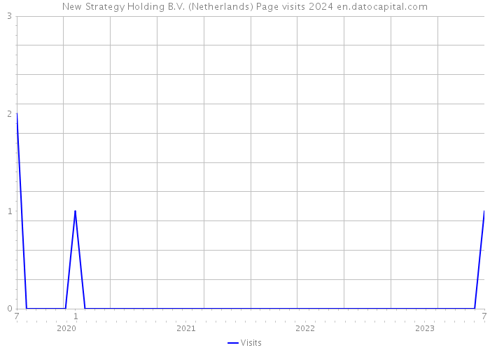 New Strategy Holding B.V. (Netherlands) Page visits 2024 