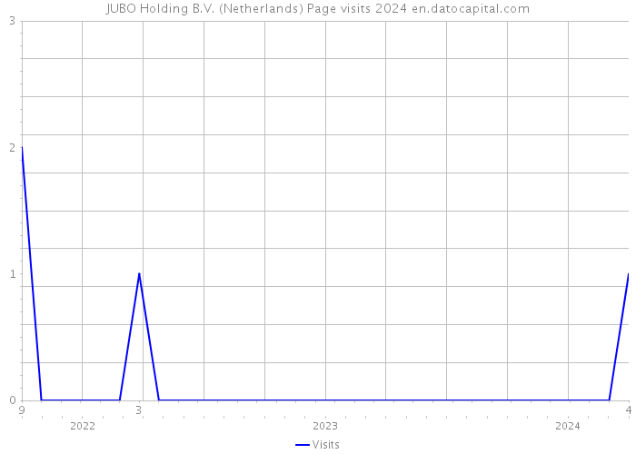 JUBO Holding B.V. (Netherlands) Page visits 2024 