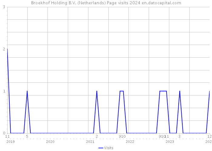 Broekhof Holding B.V. (Netherlands) Page visits 2024 