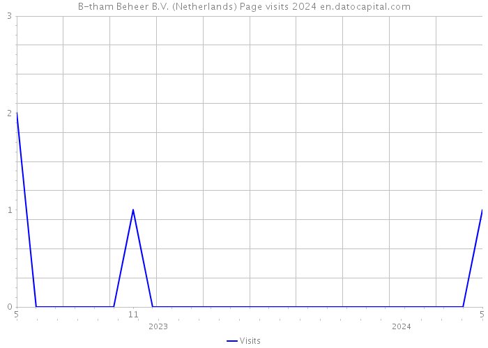 B-tham Beheer B.V. (Netherlands) Page visits 2024 