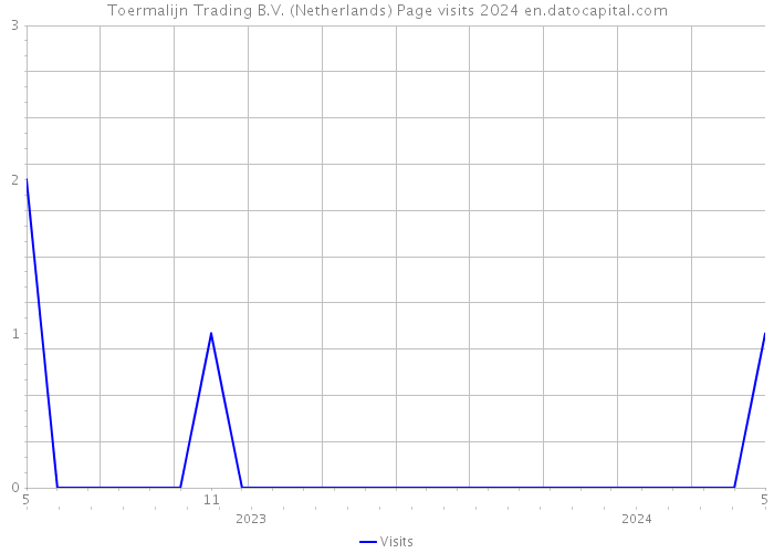 Toermalijn Trading B.V. (Netherlands) Page visits 2024 