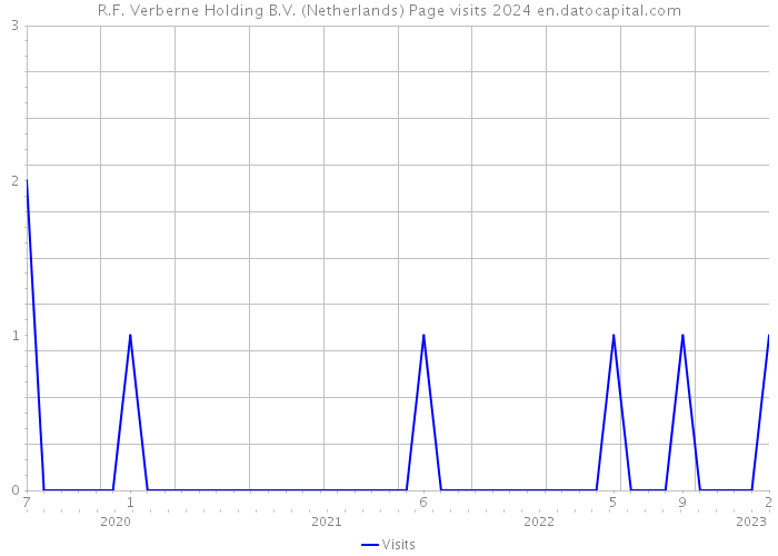 R.F. Verberne Holding B.V. (Netherlands) Page visits 2024 