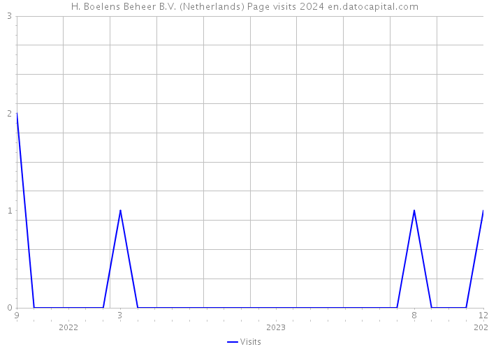 H. Boelens Beheer B.V. (Netherlands) Page visits 2024 