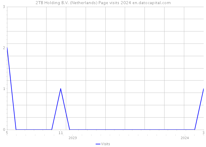 2TB Holding B.V. (Netherlands) Page visits 2024 