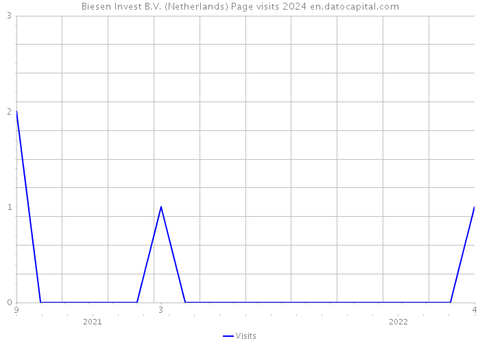 Biesen Invest B.V. (Netherlands) Page visits 2024 