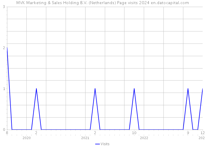MVK Marketing & Sales Holding B.V. (Netherlands) Page visits 2024 