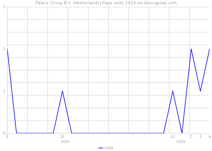 Palace Group B.V. (Netherlands) Page visits 2024 