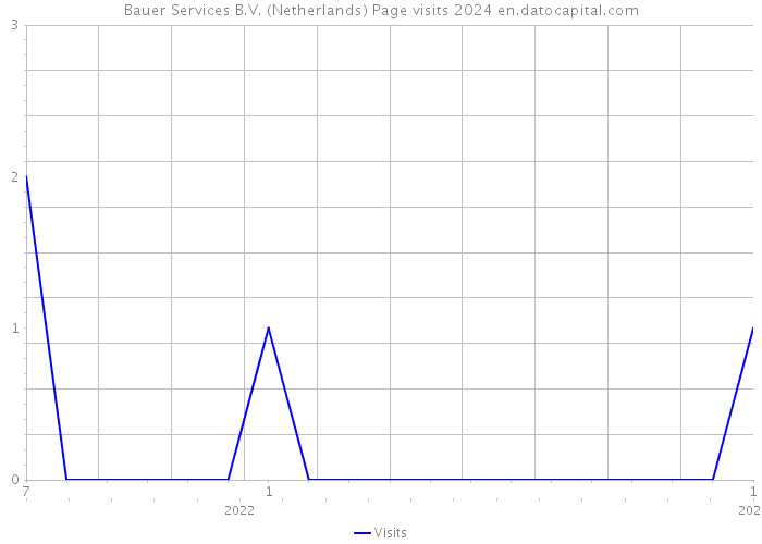 Bauer Services B.V. (Netherlands) Page visits 2024 
