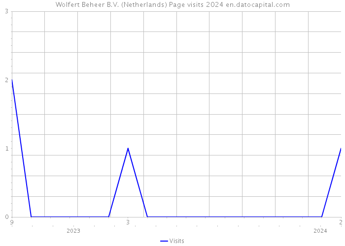 Wolfert Beheer B.V. (Netherlands) Page visits 2024 