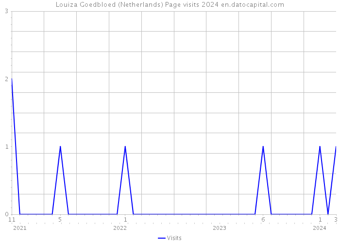 Louiza Goedbloed (Netherlands) Page visits 2024 