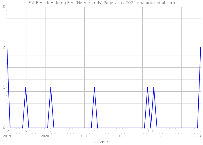 E & E Haak Holding B.V. (Netherlands) Page visits 2024 