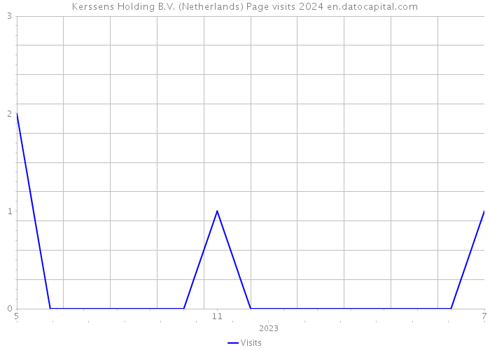 Kerssens Holding B.V. (Netherlands) Page visits 2024 
