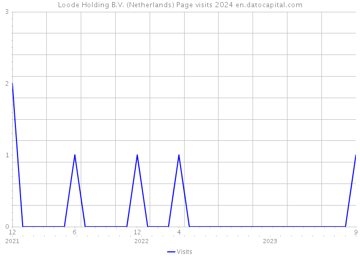 Loode Holding B.V. (Netherlands) Page visits 2024 