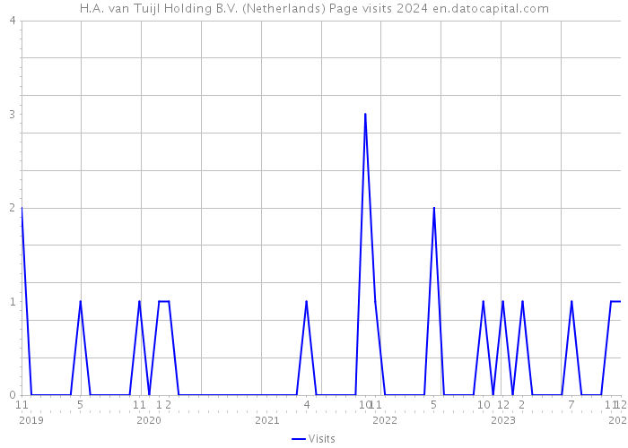 H.A. van Tuijl Holding B.V. (Netherlands) Page visits 2024 