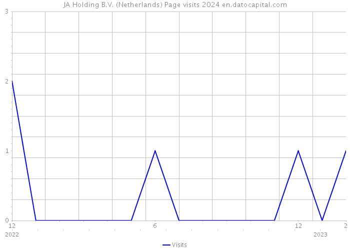 JA Holding B.V. (Netherlands) Page visits 2024 