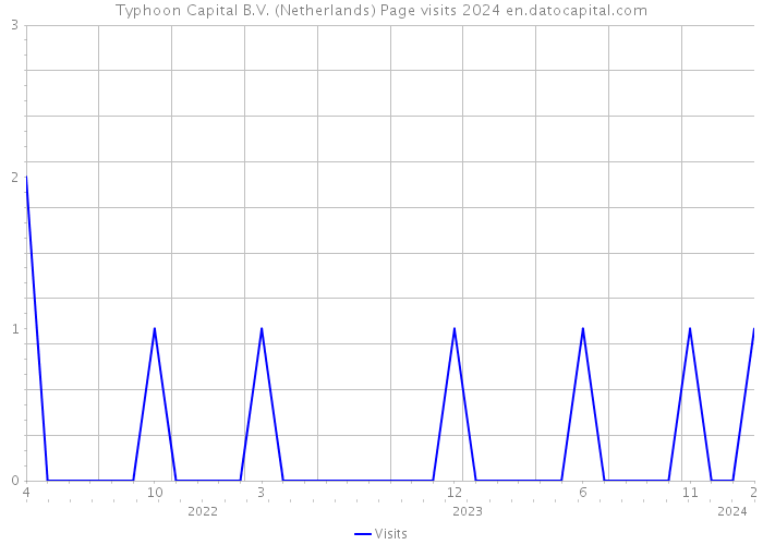 Typhoon Capital B.V. (Netherlands) Page visits 2024 