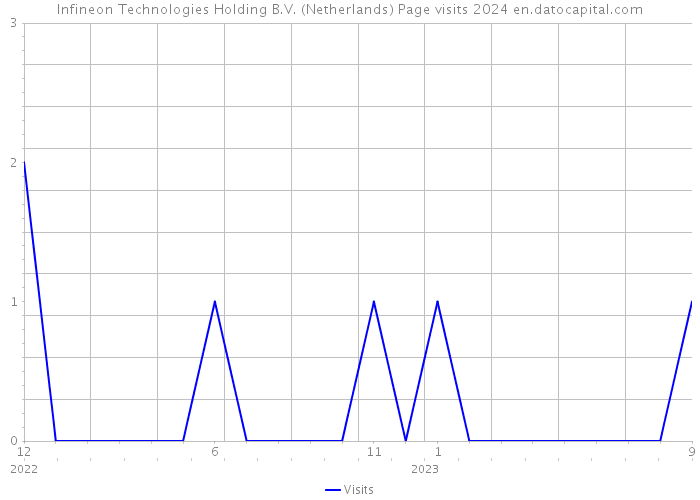 Infineon Technologies Holding B.V. (Netherlands) Page visits 2024 