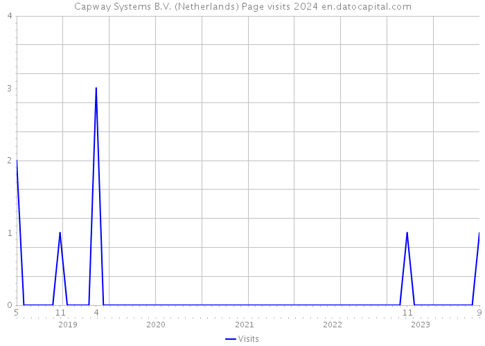 Capway Systems B.V. (Netherlands) Page visits 2024 