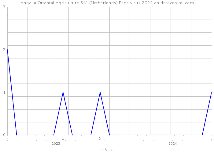 Angelia Oriental Agriculture B.V. (Netherlands) Page visits 2024 
