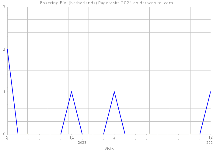 Bokering B.V. (Netherlands) Page visits 2024 