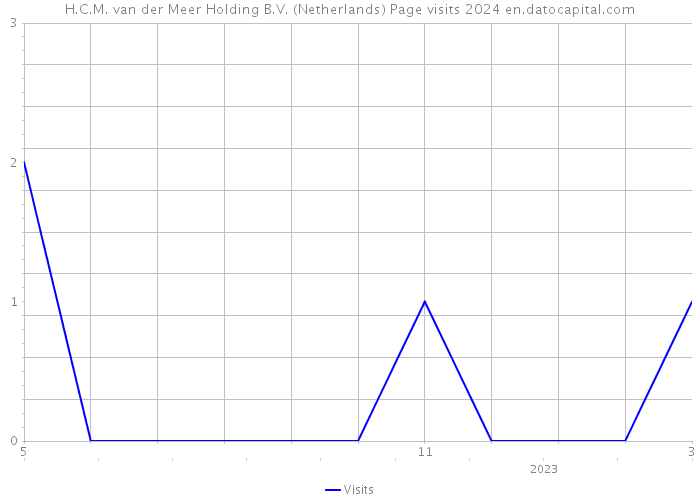 H.C.M. van der Meer Holding B.V. (Netherlands) Page visits 2024 