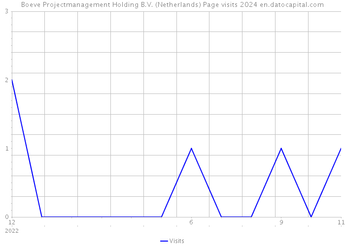 Boeve Projectmanagement Holding B.V. (Netherlands) Page visits 2024 