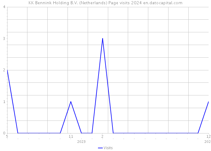 KK Bennink Holding B.V. (Netherlands) Page visits 2024 