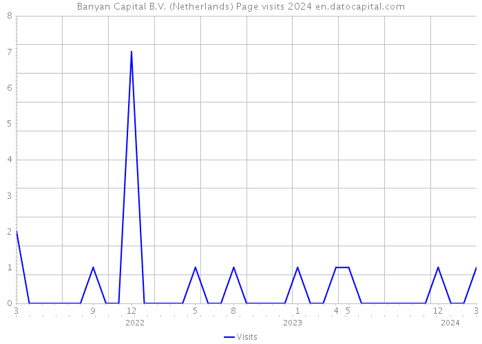 Banyan Capital B.V. (Netherlands) Page visits 2024 