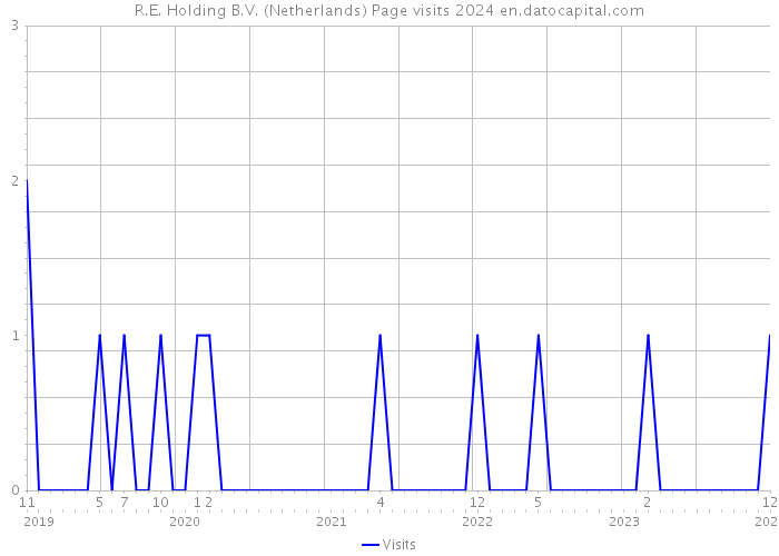 R.E. Holding B.V. (Netherlands) Page visits 2024 