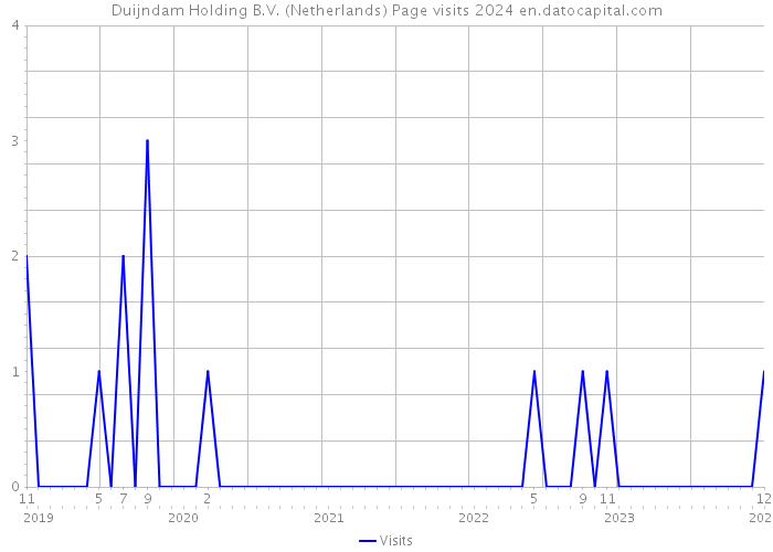 Duijndam Holding B.V. (Netherlands) Page visits 2024 
