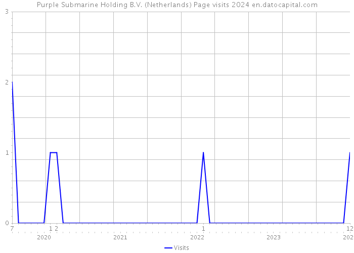 Purple Submarine Holding B.V. (Netherlands) Page visits 2024 