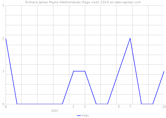 Richard James Payne (Netherlands) Page visits 2024 