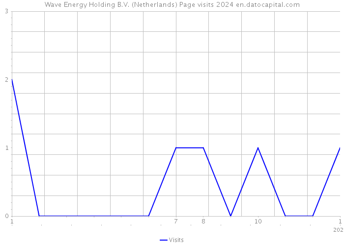 Wave Energy Holding B.V. (Netherlands) Page visits 2024 
