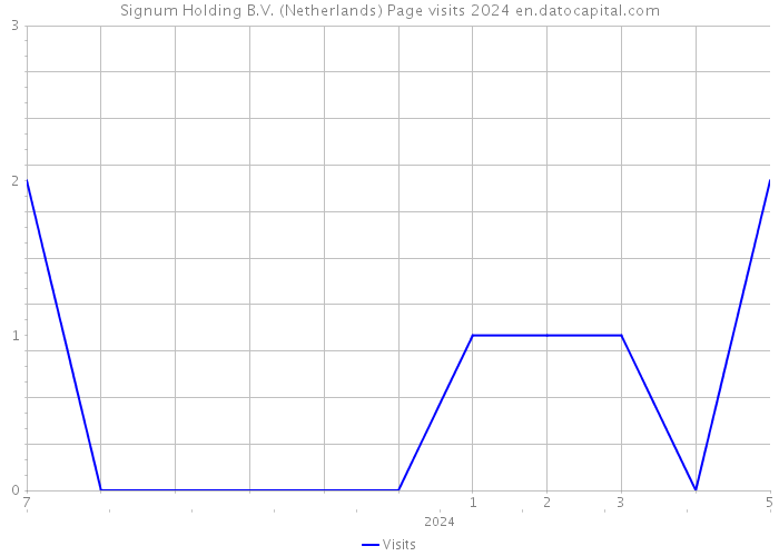 Signum Holding B.V. (Netherlands) Page visits 2024 