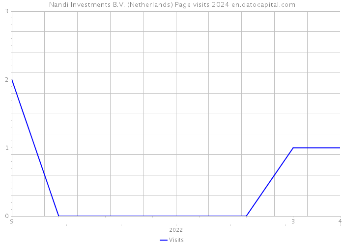 Nandi Investments B.V. (Netherlands) Page visits 2024 