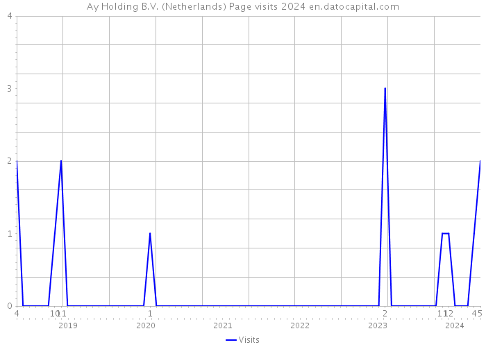 Ay Holding B.V. (Netherlands) Page visits 2024 