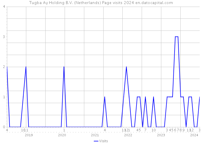 Tugba Ay Holding B.V. (Netherlands) Page visits 2024 