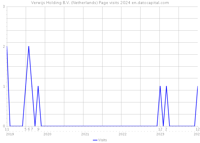 Verwijs Holding B.V. (Netherlands) Page visits 2024 