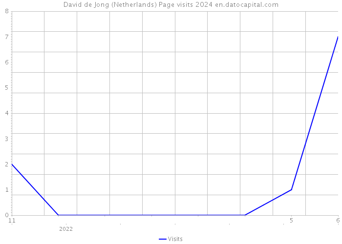 David de Jong (Netherlands) Page visits 2024 
