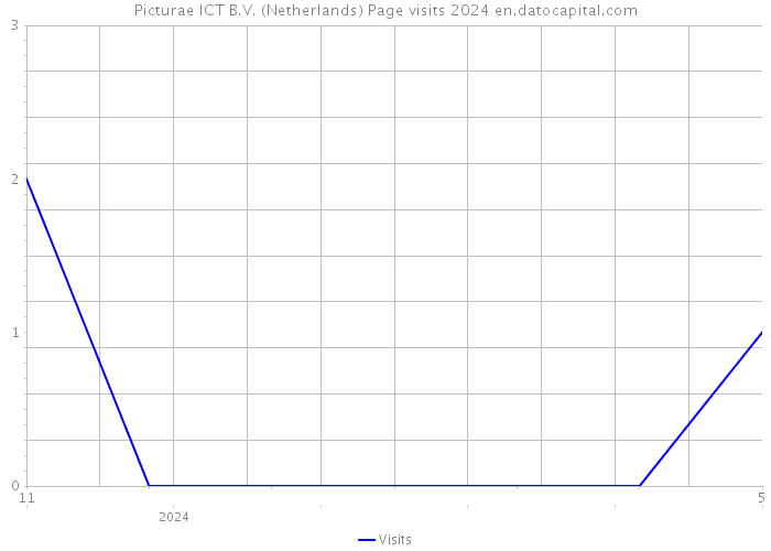 Picturae ICT B.V. (Netherlands) Page visits 2024 