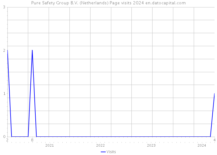 Pure Safety Group B.V. (Netherlands) Page visits 2024 