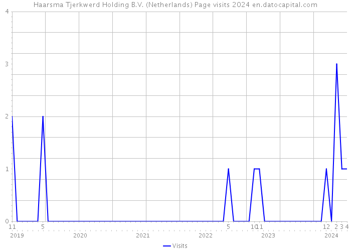 Haarsma Tjerkwerd Holding B.V. (Netherlands) Page visits 2024 