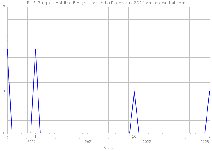 P.J.S. Ruigrok Holding B.V. (Netherlands) Page visits 2024 