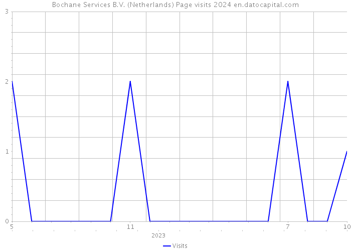 Bochane Services B.V. (Netherlands) Page visits 2024 