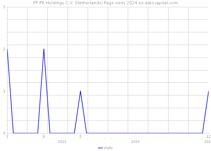 PF PR Holdings C.V. (Netherlands) Page visits 2024 
