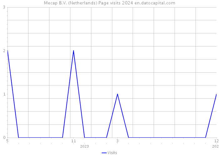 Mecap B.V. (Netherlands) Page visits 2024 