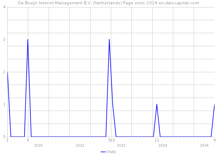 De Bruijn Interim Management B.V. (Netherlands) Page visits 2024 