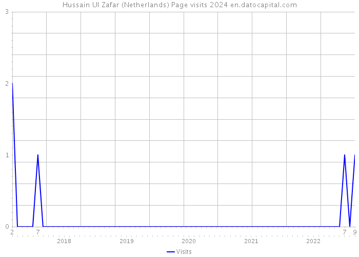 Hussain Ul Zafar (Netherlands) Page visits 2024 