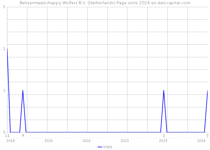 Beheermaatschappij Wolfers B.V. (Netherlands) Page visits 2024 